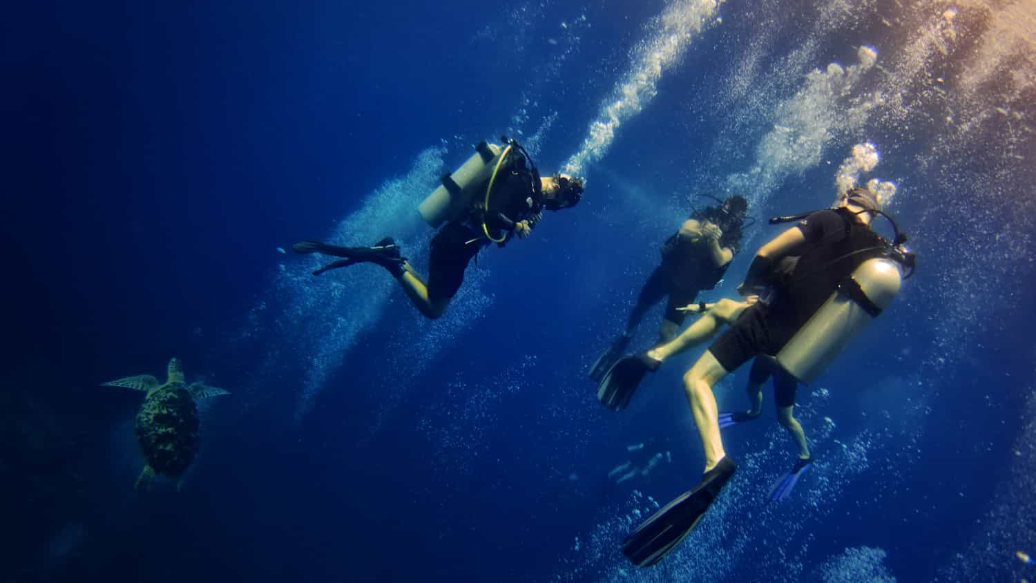 PADI Courses - From Beginner to Instructor and Technical Diving