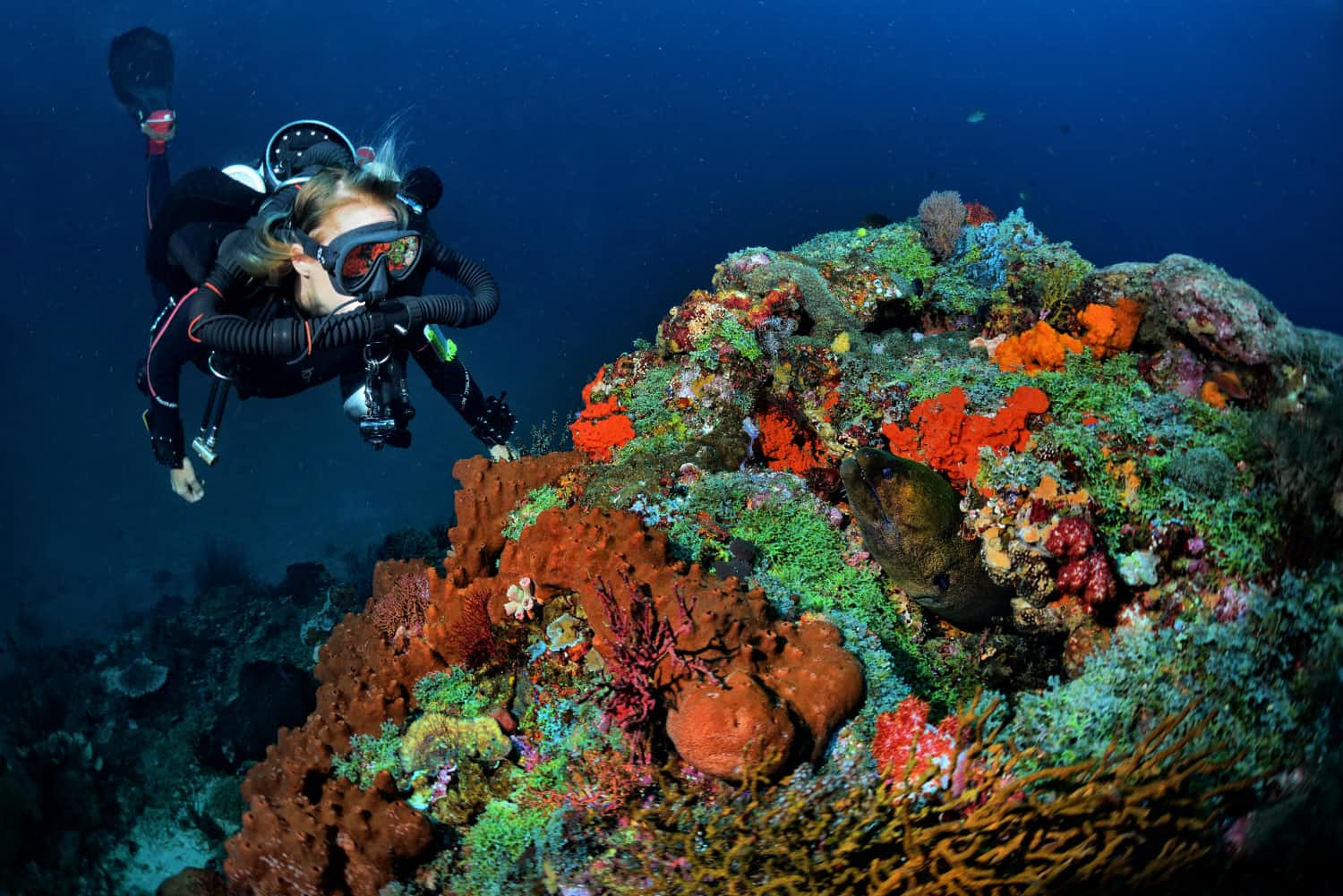 Gili Islands Technical Dive Sites. JJ-CCR Diver diving out of Trawangan Dive