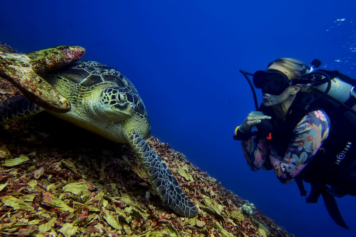 Fun Diving Gili Islands and observe Turtles in their natural habitat