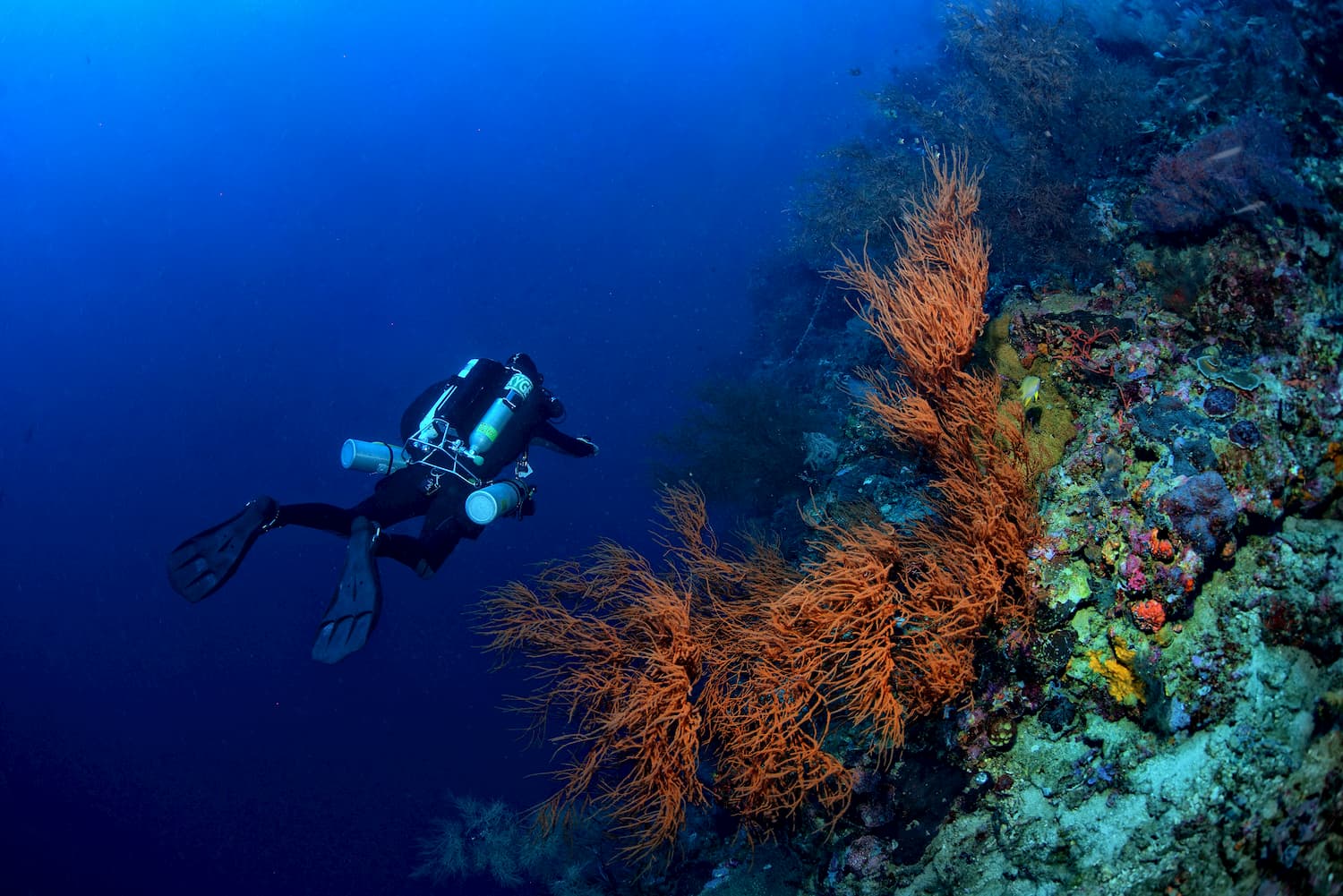 Join us for the best technical diving in indonesia - Gili Islands