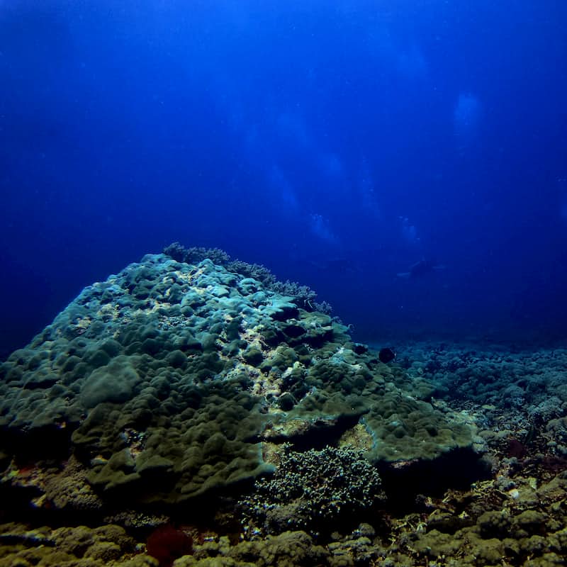 Beautiful training sites for your PADI IDC Courses on Gili Island