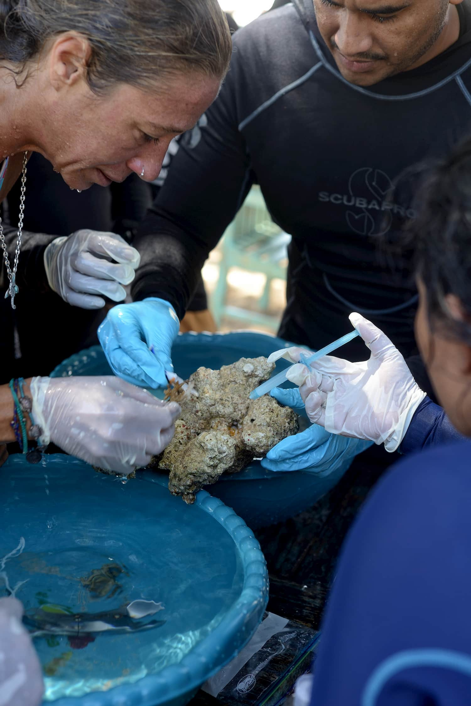 Trawangan Dive offers eco diver courses for coral reef rehabitilation on Gili Islands