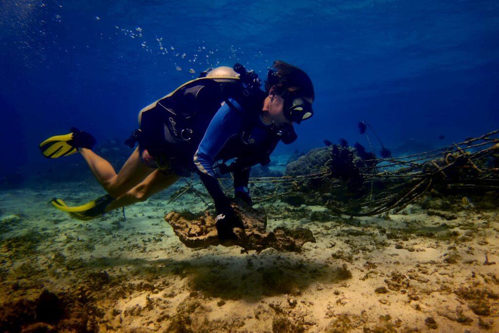 Trawangan Dive eco diver recovering broken corals to plant them on the BioRock structures