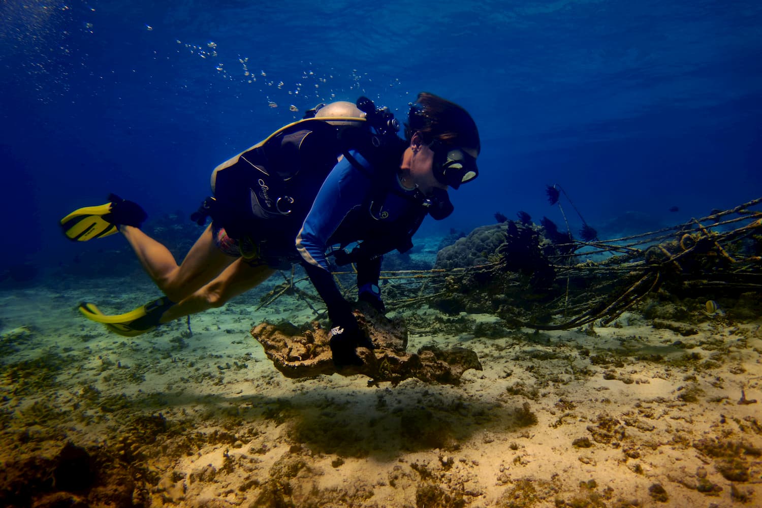 Reef Restoration Program