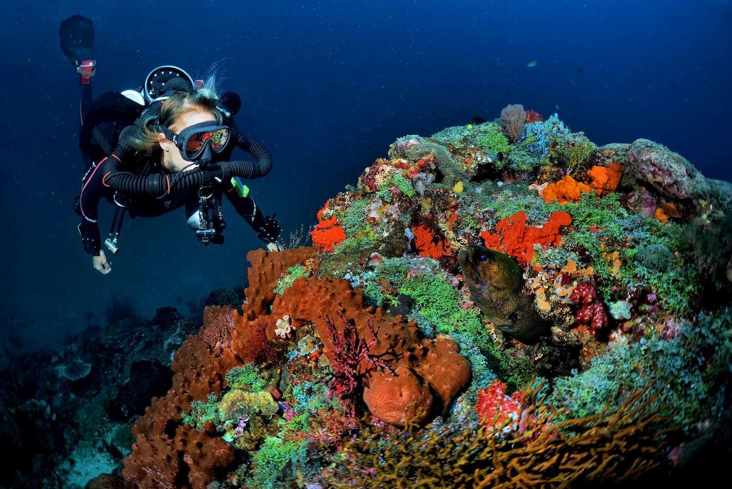 JJ-CCR Rebreather Diver diving the technical divesites of Gili Islands