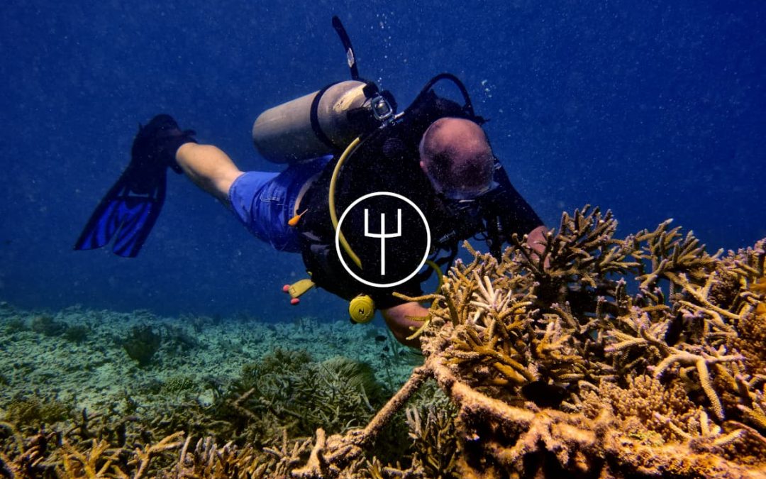 Introduction Dive to Reef Gardening