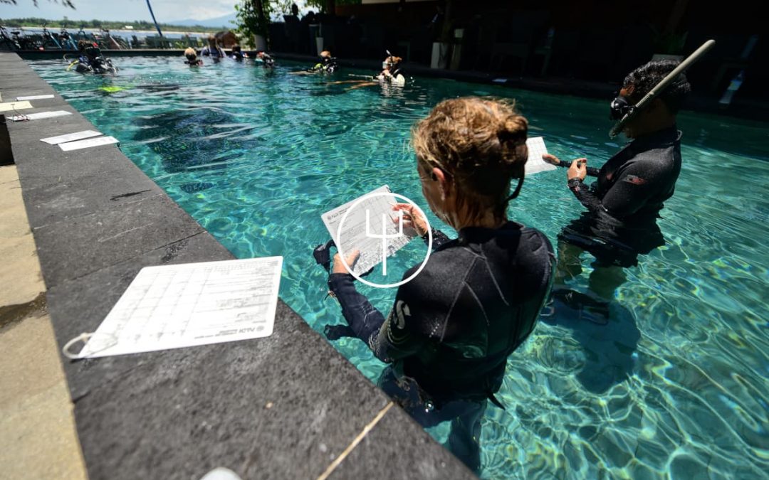 PADI IDC Staff Instructor