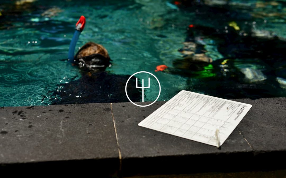 PADI Specialty Instructor
