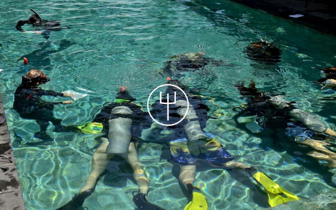 PADI Master Scuba Diver Trainer
