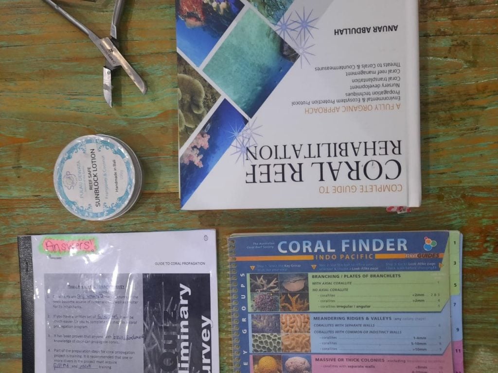 Coral Reef Rehabilitation Course Gili Trawangan Gili Eco Trust