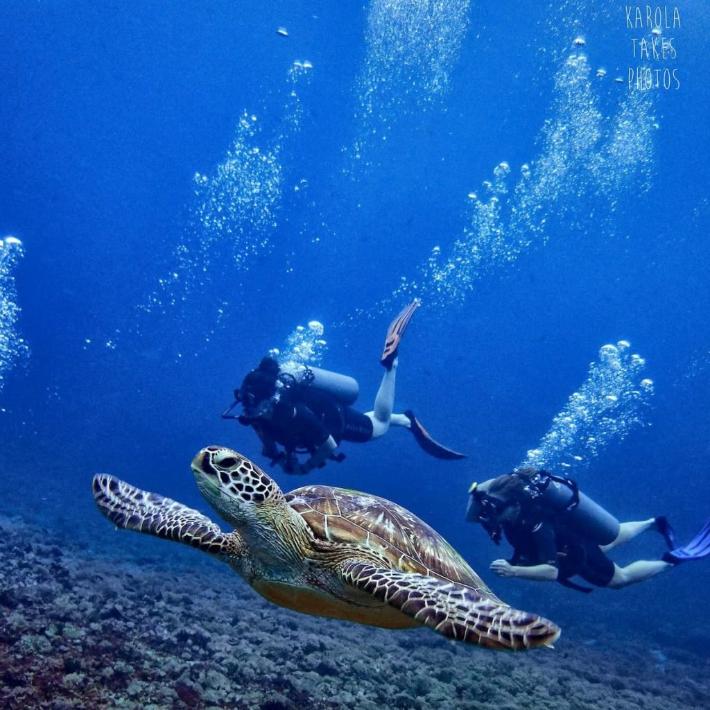 Open Water Course Gili Trawangan