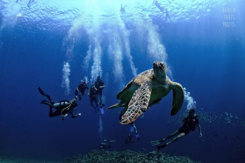 Explore the underwater world of gili trawangan and watch turtles in their natural habitat