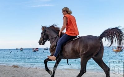 Horse riding in the Gili Islands