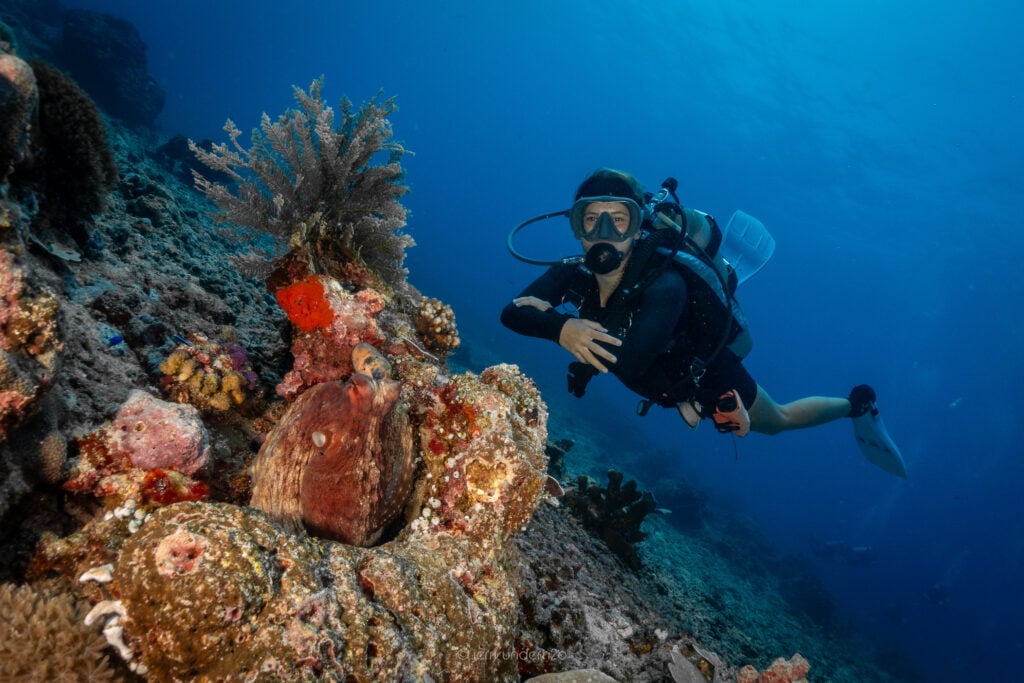 Best Dive Sites in Gili Trawangan (2026 Guide)